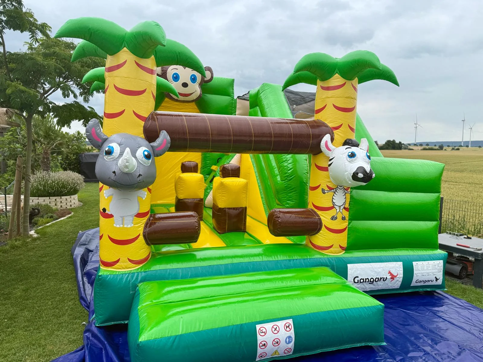 Jungle Adventure – big view